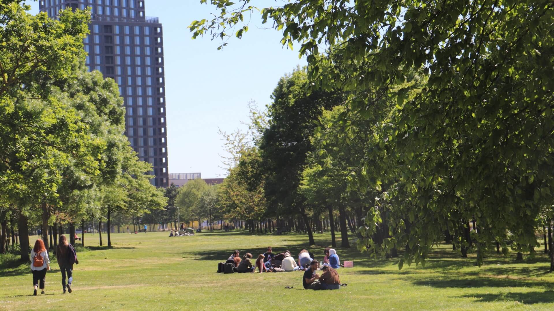 A sunny park with people sat in groups on the grass. A high rise building can be seen in the background.